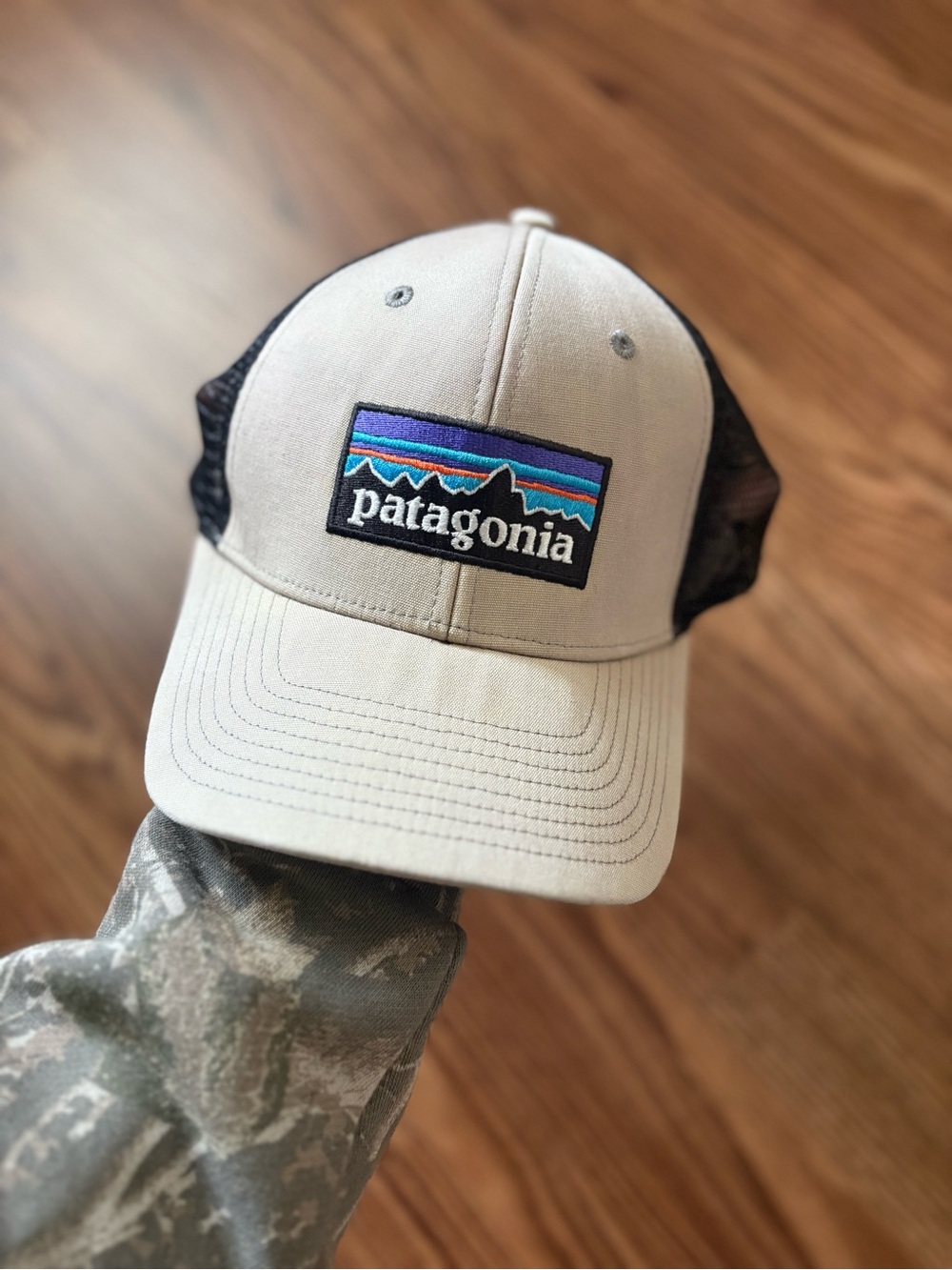 Patagonia Trucker Hat